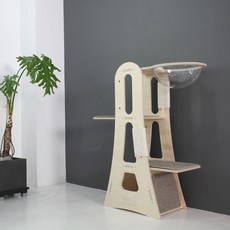 미아오스트럭쳐