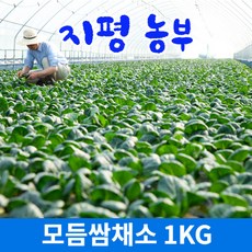 [물맑은 양평] 지평 농부 모듬쌈채소(1kg), 1kg, 1개
