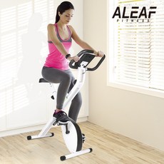 숀리실내자전거