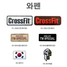 정복약장