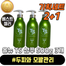 [빠른출고][본사정품] 올뉴 TS 샴푸 500g 3개 TS샴푸 탈모샴푸 탈모케어 TS샴푸500g 티에스 TS 탈모 ts 두피 저자극 두피케어, 탈모완화도움주는 샴푸