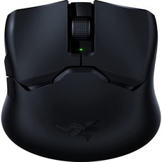 레이저바이퍼v2pro