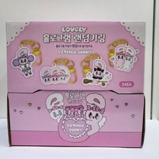 [오너클랜] 키링 홀로그램 랜덤 미니어쳐 수집, 상세 설명 참조