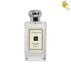 Jo Malone 조말론 향수 100ml 블랙베리 앤 베이 오 드 코롱 런던, 블랙베리 앤 베이 오 드 코롱 런던100ml, 1개 - 조말론향수블랙베리