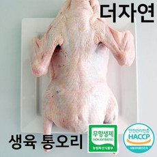 무항생제 국내산 생 오리 통오리 2kg, 1개