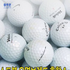 블루몬 골프용품쇼핑몰 골그린샵 스크린 로스볼 유명브렌드 혼합 A-급 500알 골프볼 골프공