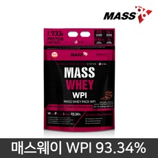 MASS96 매스96 매스웨이 WPI 초코 2KG 단백질보충제 프로틴, 1개