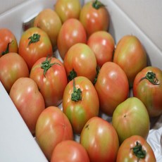 [몬스터팜] 쥬스용 토마토 10KG 대용량 초특가, 쥬스용소과(5번이하랜덤), 1box