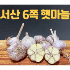 의성6쪽마늘