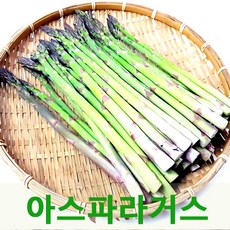 국산아스파라거스2kg