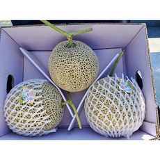 (과일천국1번지) 고당도 멜론 8kg- 1박스