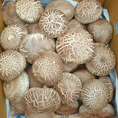 [농부의정성]으로 재배하여 햇빛에 자연건조로 말린 국내산 참나무원목 건조표고버섯 200g, 슬라이스(200g)
