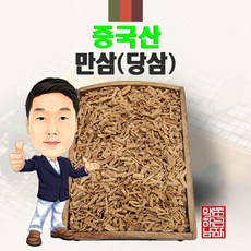 중국산삼