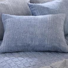 gBEDDING 桃皮絨枕套 2入+超細纖維枕芯 2入, 藍色