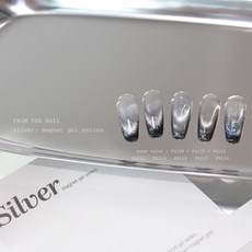 프롬더네일 실버자석젤시리즈 실버 silver 5종세트, 1개