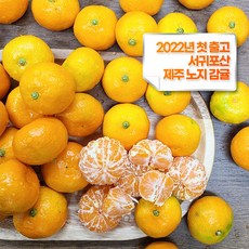제주돌담집