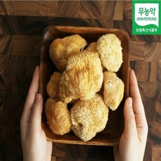 노루 궁뎅이 버섯 건조 말린거 말린것 100g 무농약 국내산 말린 노루궁댕이버섯 차 효능 효과 먹는법, 1개