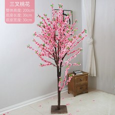 //상품명