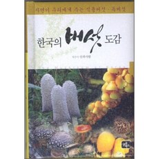 버섯도감