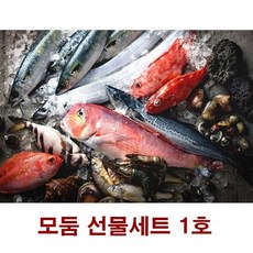 설선물 선물세트 제주바다 명절 최상품 9호 은갈치 참옥돔행복하게 사는거야, 1개