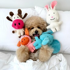 반려견 강아지 터그놀이 캐릭터 삑삑이 세트, 1팩 1팩