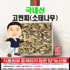 소태나무