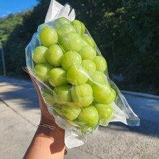 경북기러기농장