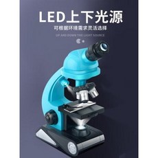주사전자현미경