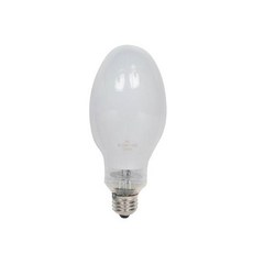 포커스 백열전구 BL250W(E39) 226mm_(1EA), 개, 1개