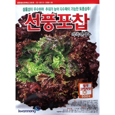 포찹상추