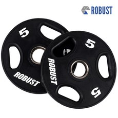 robust원판