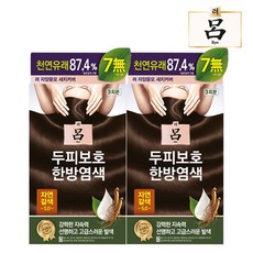려 자양윤모 새치커버 염색약 4종 염모제, 2개, 5.0자연갈색