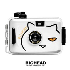 필름카메라인화