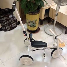 쌍둥이세발자전거