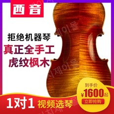 홍성우바이올린