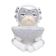 라탄고양이트레이