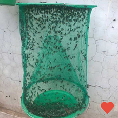 추천6 해충포획기