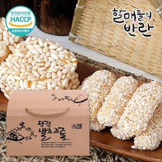 반란의조짐