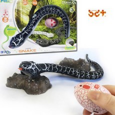 반디토이