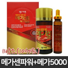 메가센파워