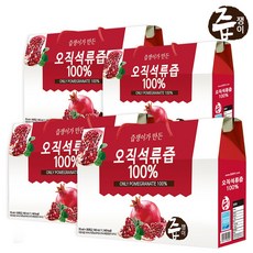 꽃보다석류즙