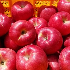 여름행커치프파는곳