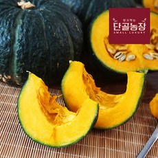 공영쇼핑밤호박