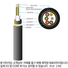 광케이블12c