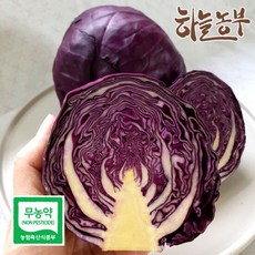 하늘농부 친환경 적양배추 적채 600g이상, 1개