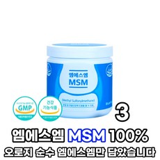 msm한약
