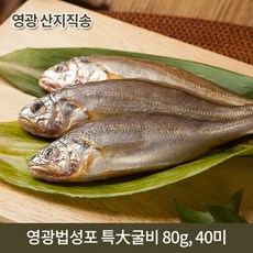 바다향기 머금은 영광함초굴비 특대 40미 (마리당80g), 80g(2미), 20팩