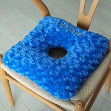 닥터바르미애플방석