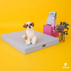 디팡빈백