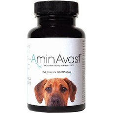  AminAvast 강아지 고양이 반려견 반려묘 신장 지원 보조제 1000mg 60캡슐, 1팩 